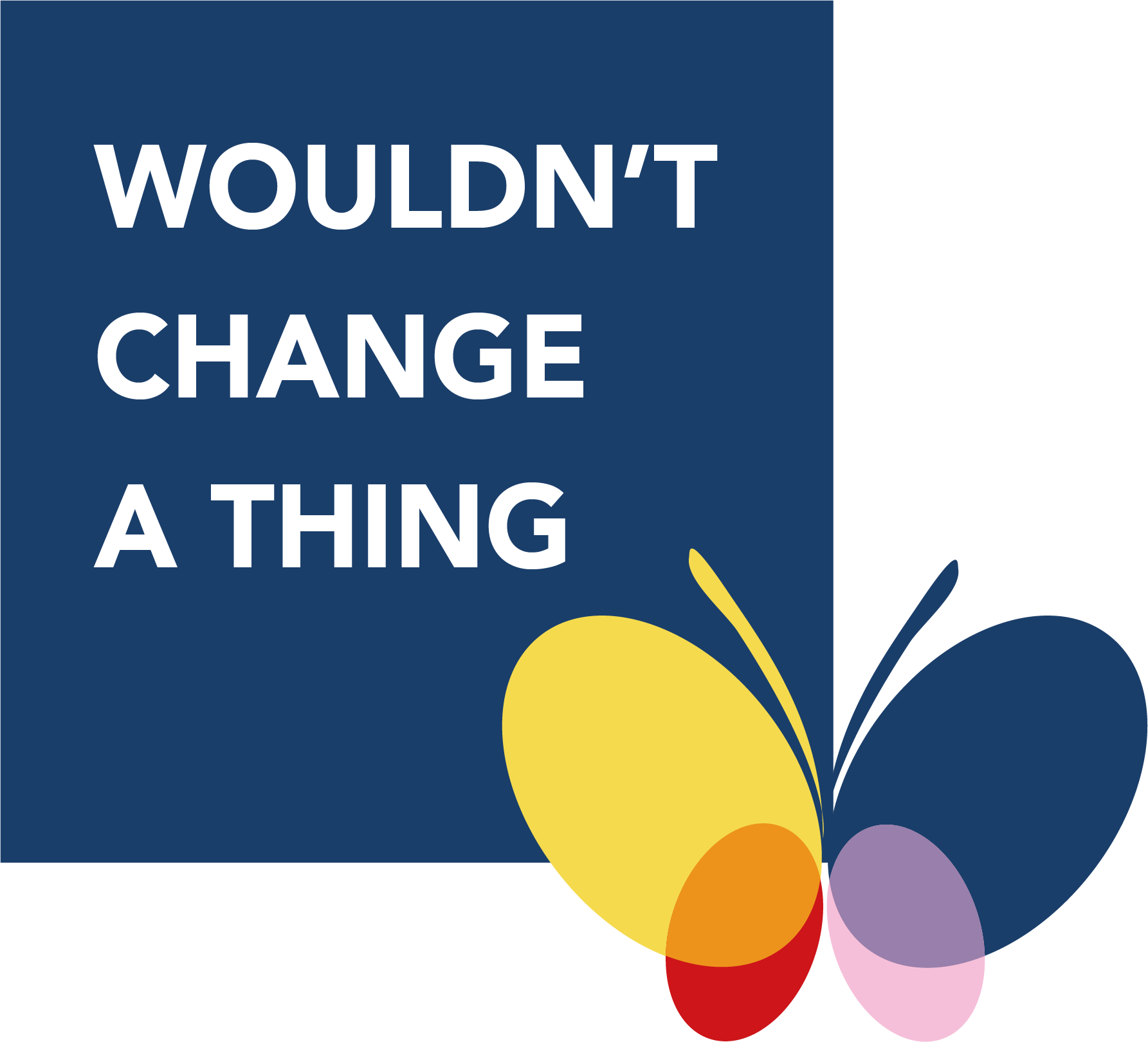 wouldn t change a thing making negative perceptions of down